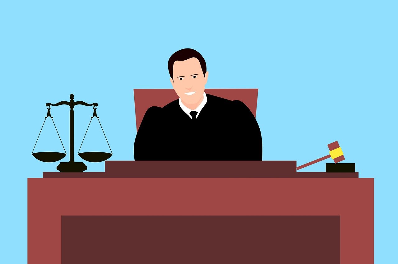 Who is a Plaintiff in a Court of Law